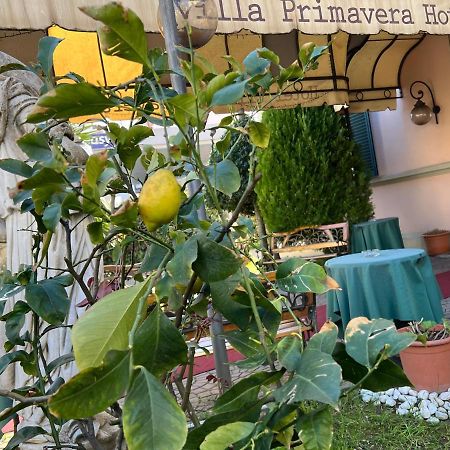 Hotel Villa Primavera Pisa Eksteriør bilde