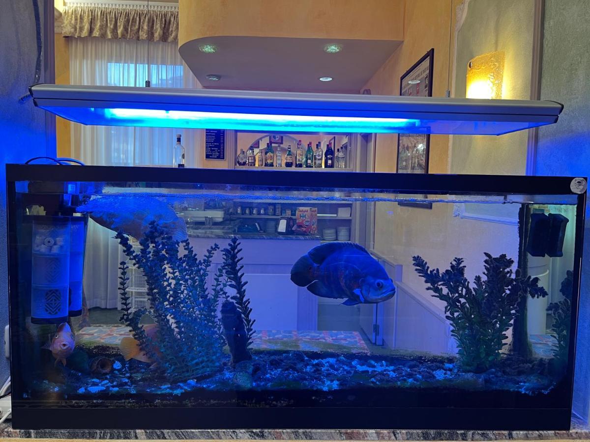 Hotel Villa Primavera Pisa Eksteriør bilde